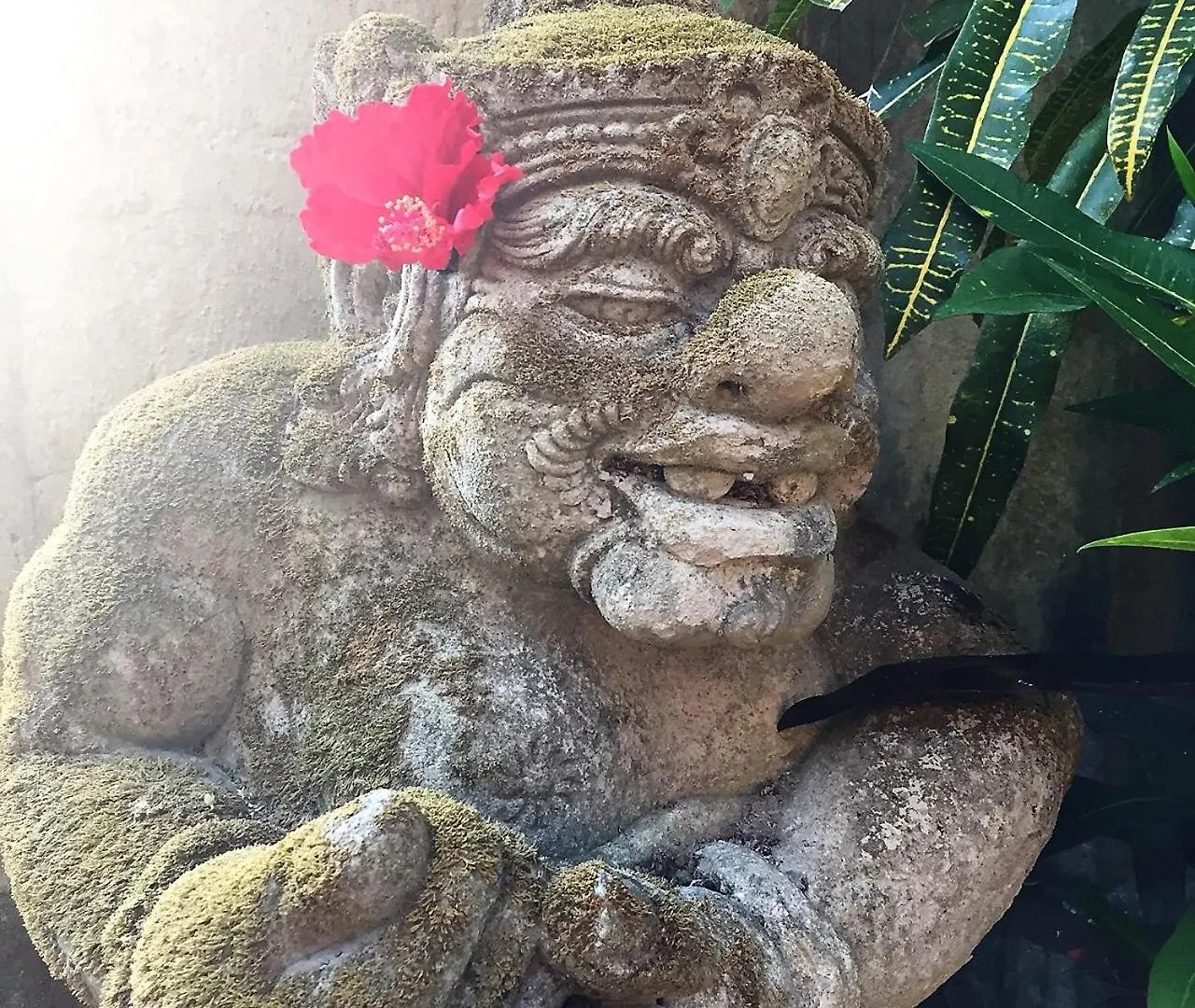 Holiday park Kukuh House Ubud